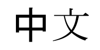 Chinese Version